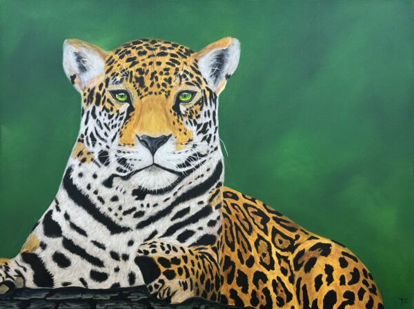 Jagúar (SOLD)