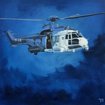 Útkall TF-EIR (SOLD)